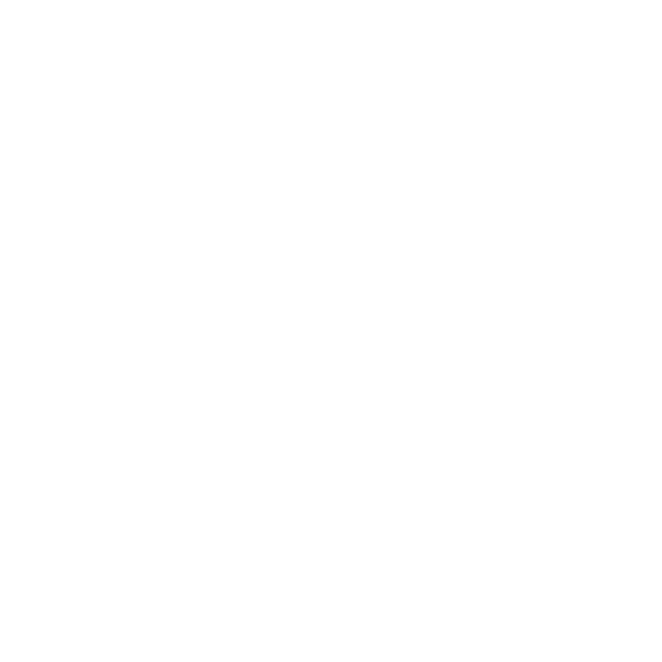 Bear Grylls Survival Academy